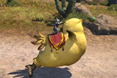 《最终幻想14》限量版福利，胖胖的陆行鸟降临