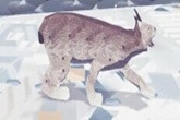 另类PC新作《避难2》最新截图放出 可爱小野猫萌化你心