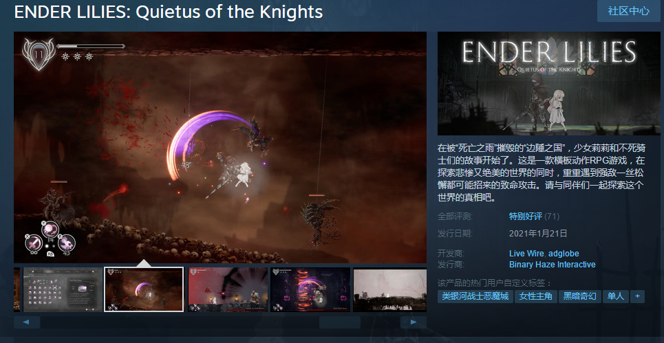 游戏推荐：《终结的百合花：骑士们的解脱》探索悲惨绝美的世界