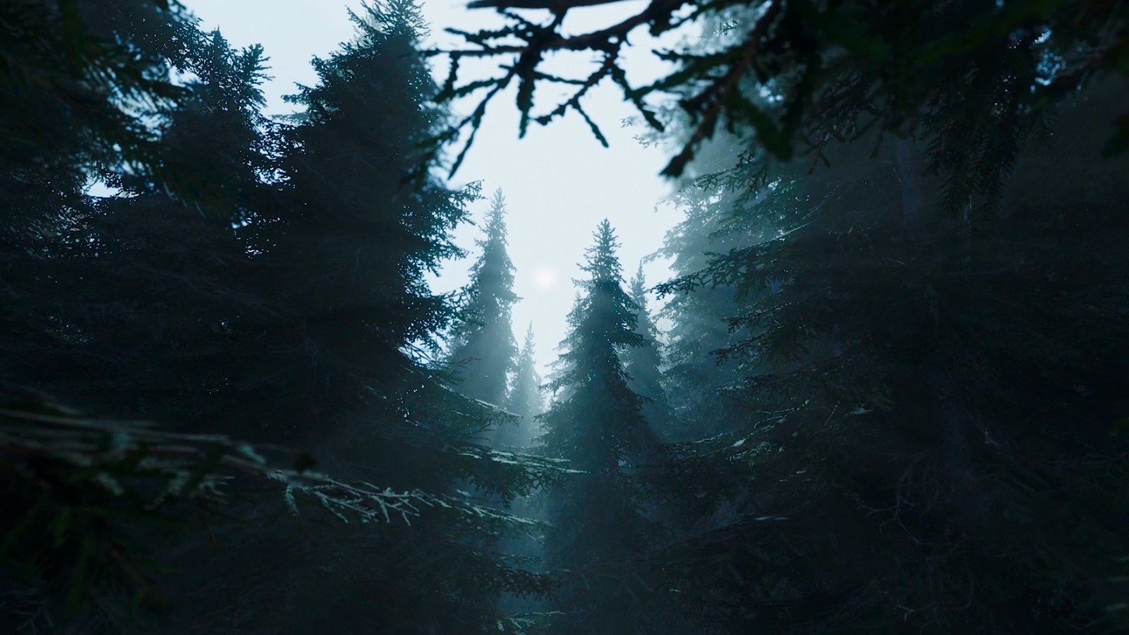 《黑森林迷踪》上架Steam，在芬兰的密林寻找神奇奥秘